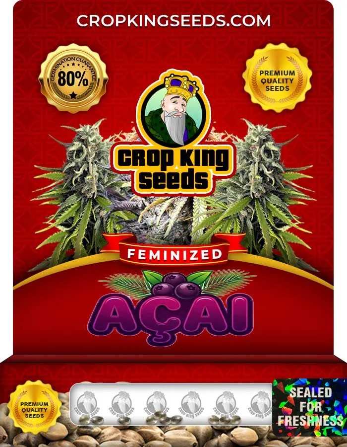 Acai Strain Feminized Seeds