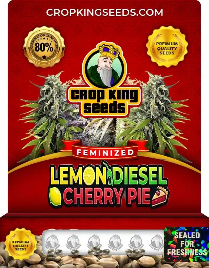 Lemon Diesel Cherry Pie Strain Feminized Seeds