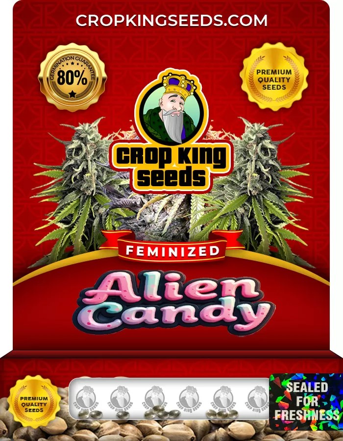 Alien Candy Feminized Marijuana Seeds