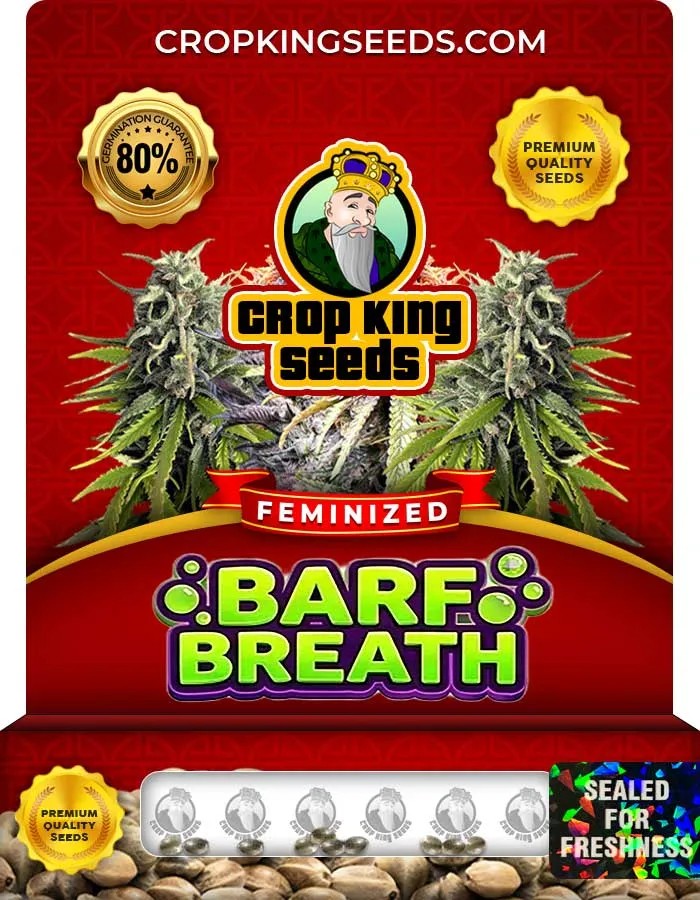 Barf Breath Strain Feminized Seeds