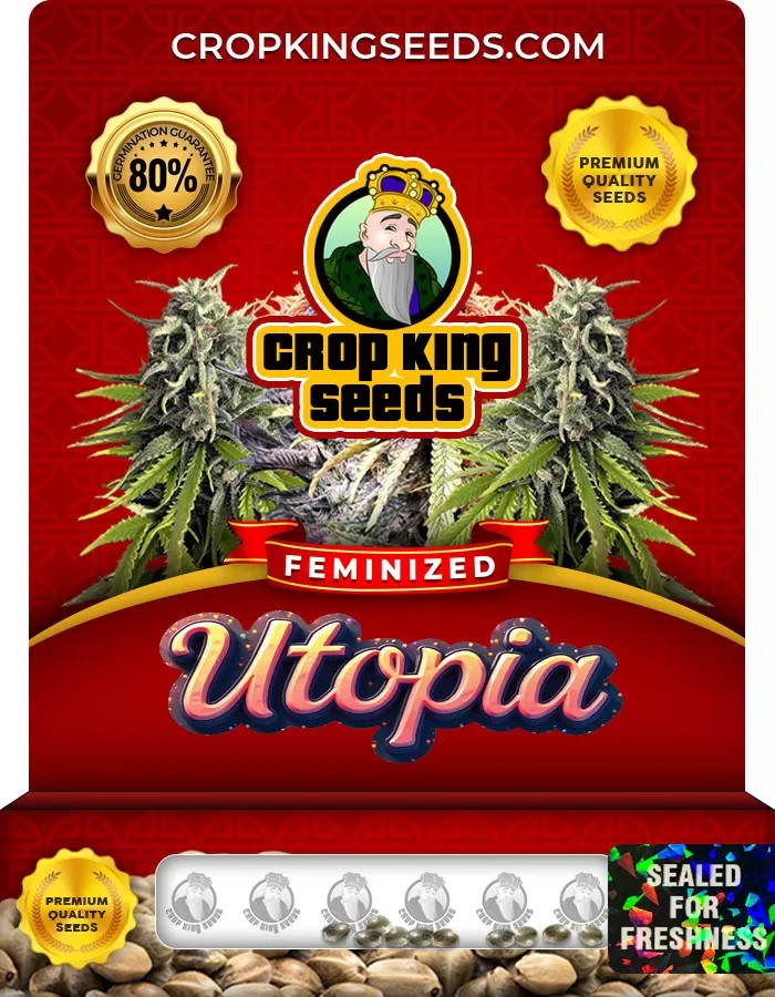 Utopia Strain Feminized Marijuana Seeds