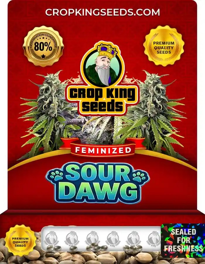 Sour Dawg Feminized Seeds