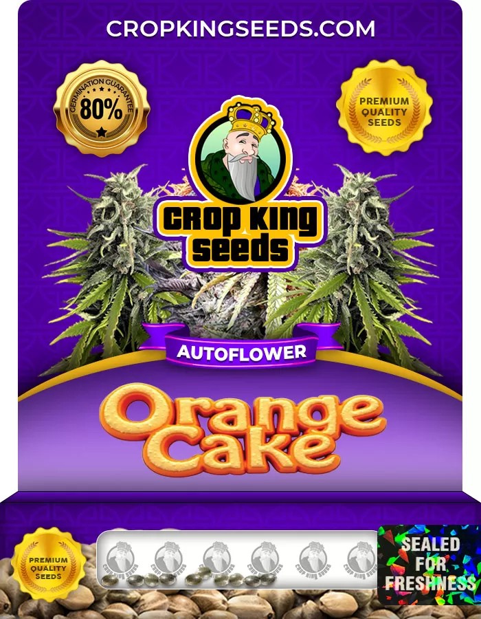 Orange Cake Autoflower Marijuana Seeds