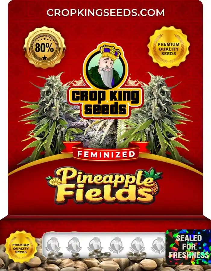 Pineapple Fields Feminized Seeds