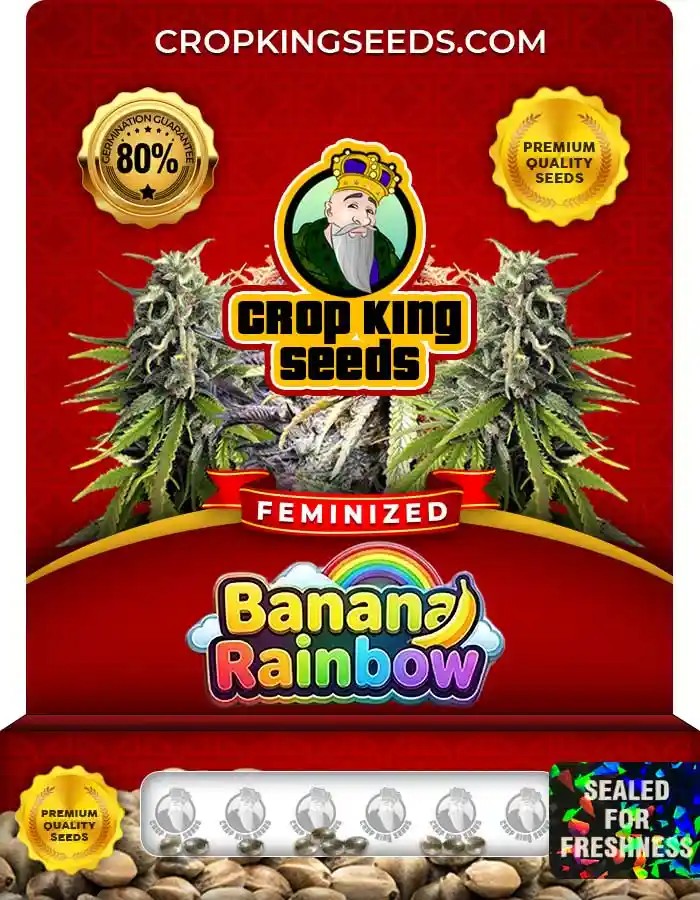 Banana Rainbow Feminized Seeds