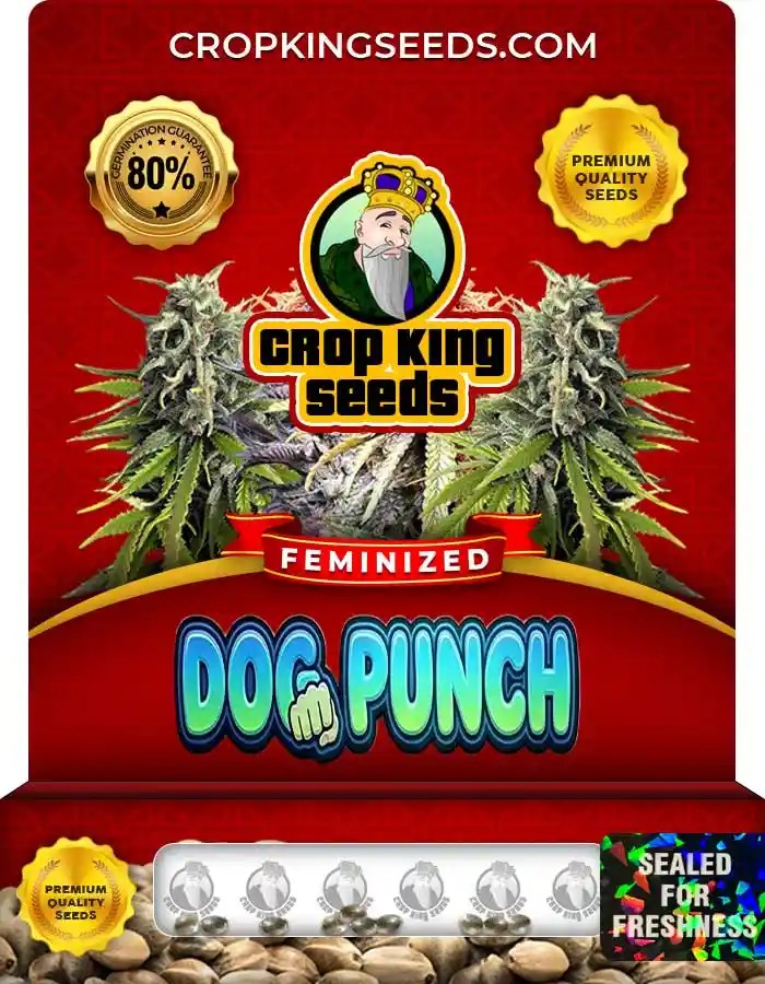Dog Punch Hybrid Strain Feminized Seeds