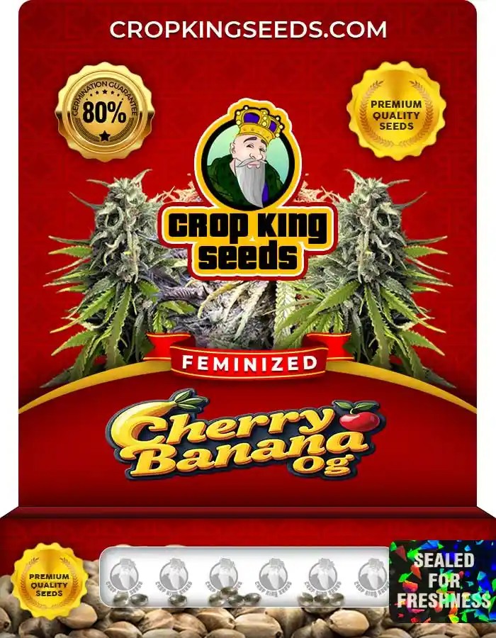Cherry Banana OG Strain Feminized Marijuana Seeds