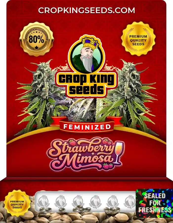 Strawberry Mimosa Strain Feminized Marijuana Seeds