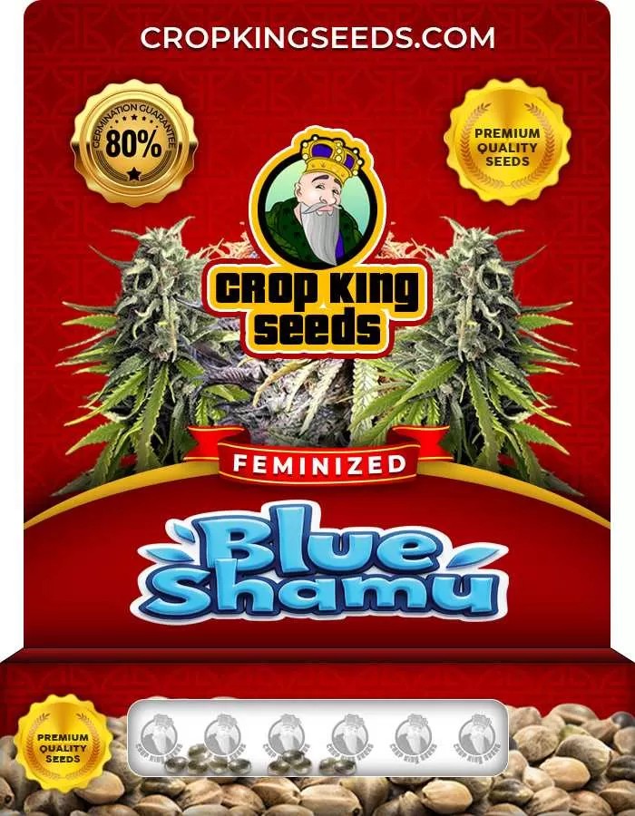 Blue Shamu Feminized Seeds