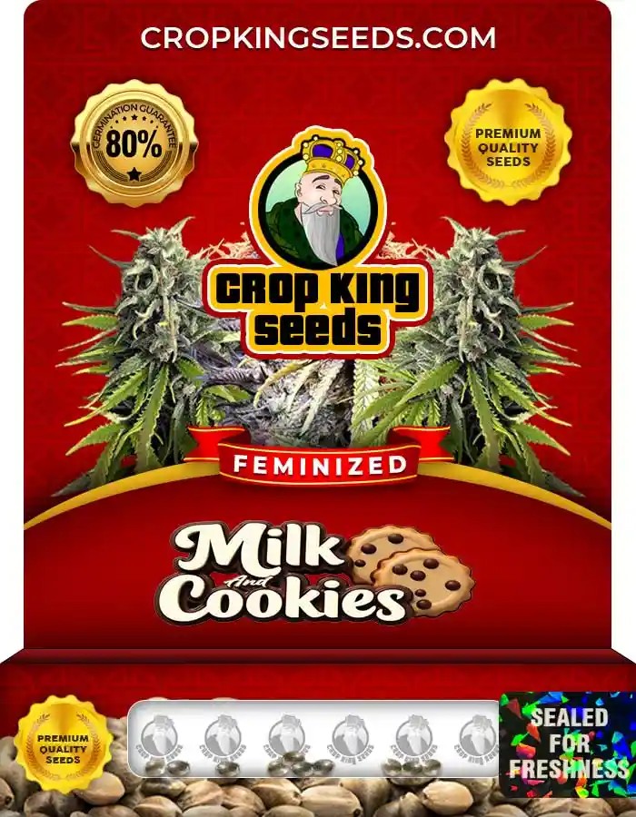 Milk and Cookies Strain Feminized Marijuana Seeds