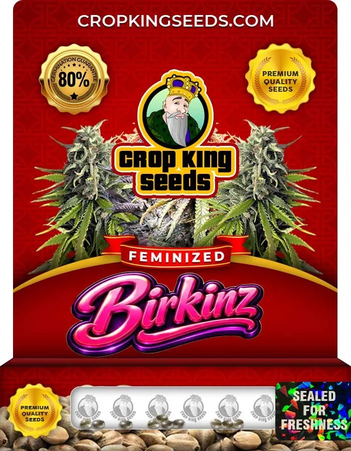 Birkinz Strain Feminized Seeds