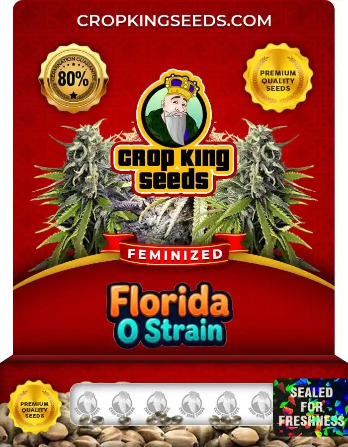 Florida O Strain Feminized Marijuana Seeds