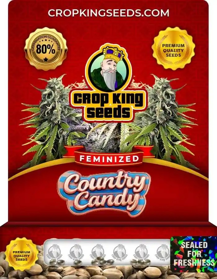 Country Candy Hybrid Strain Feminized Seeds