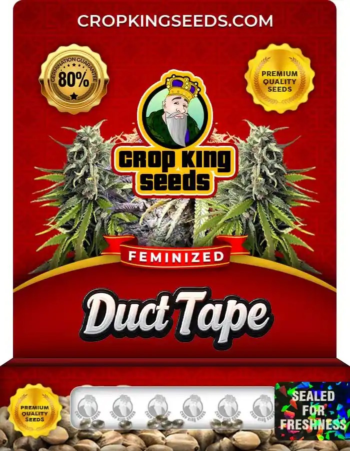 Duct Tape Strain Feminized Marijuana Seeds