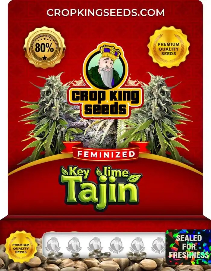 Key Lime Tajin Strain Feminized Seeds