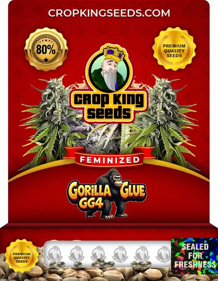 Gorilla Glue GG4 Strain Feminized Seeds