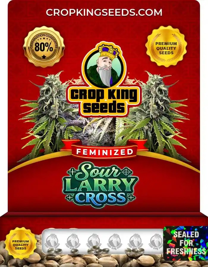 Sour Larry Cross Feminized Seeds