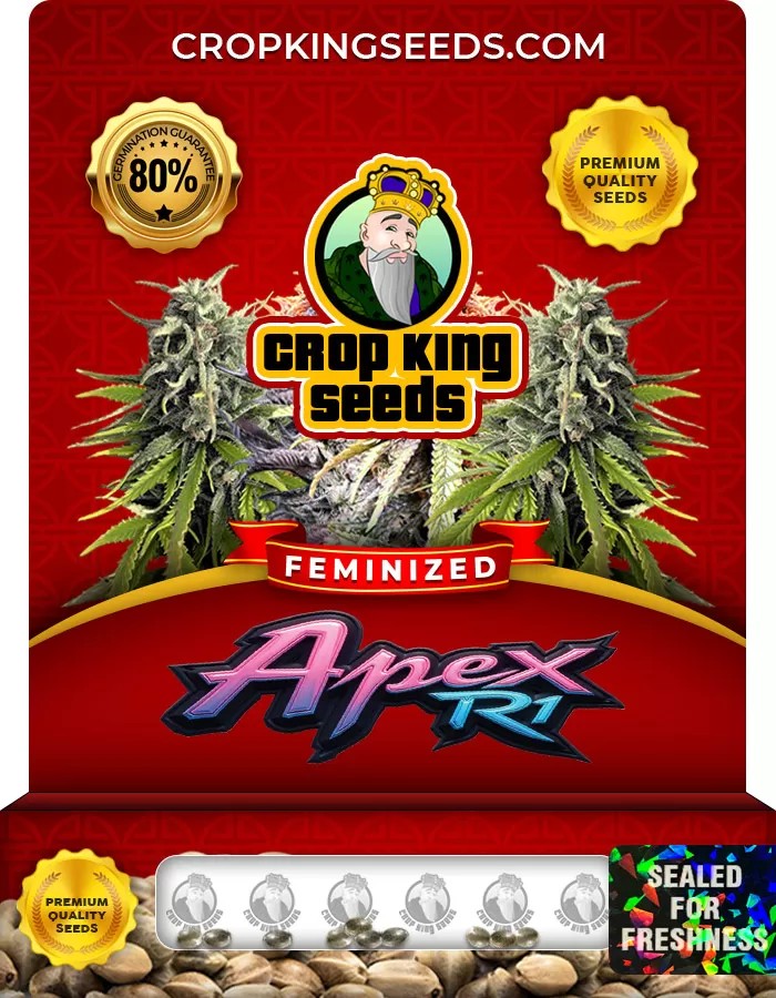 Apex R1 Feminized Marijuana Seeds