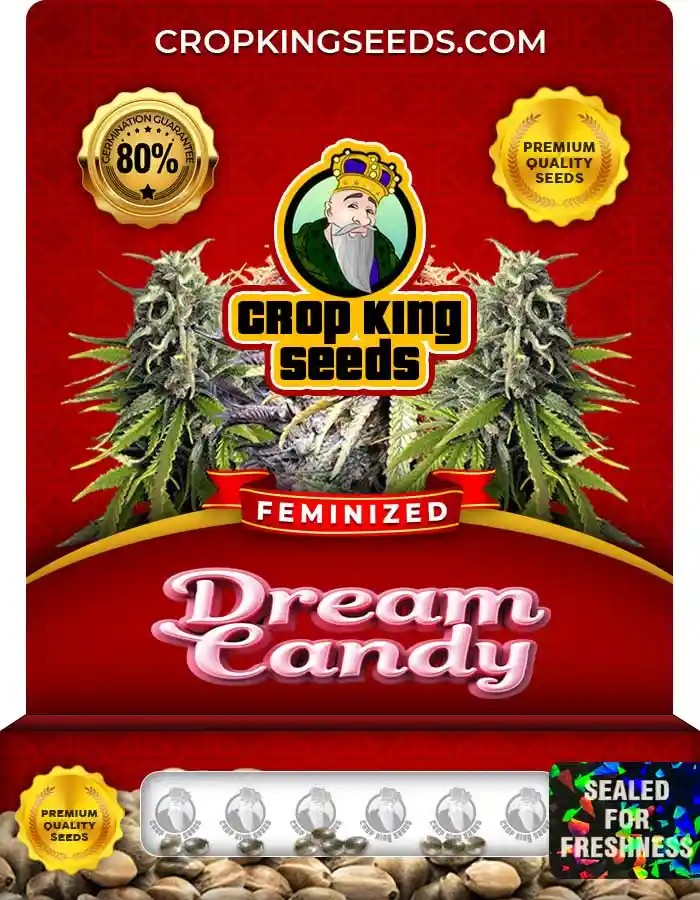 Dream Candy Feminized Seeds