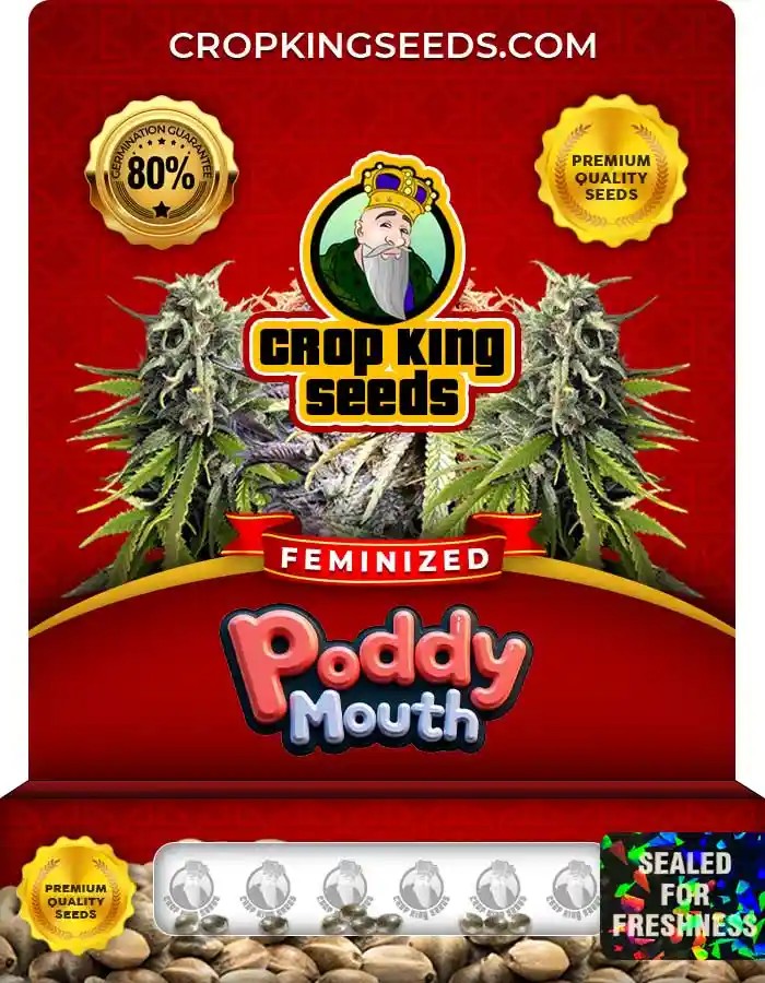 Poddy Mouth Strain Feminized Marijuana Seeds