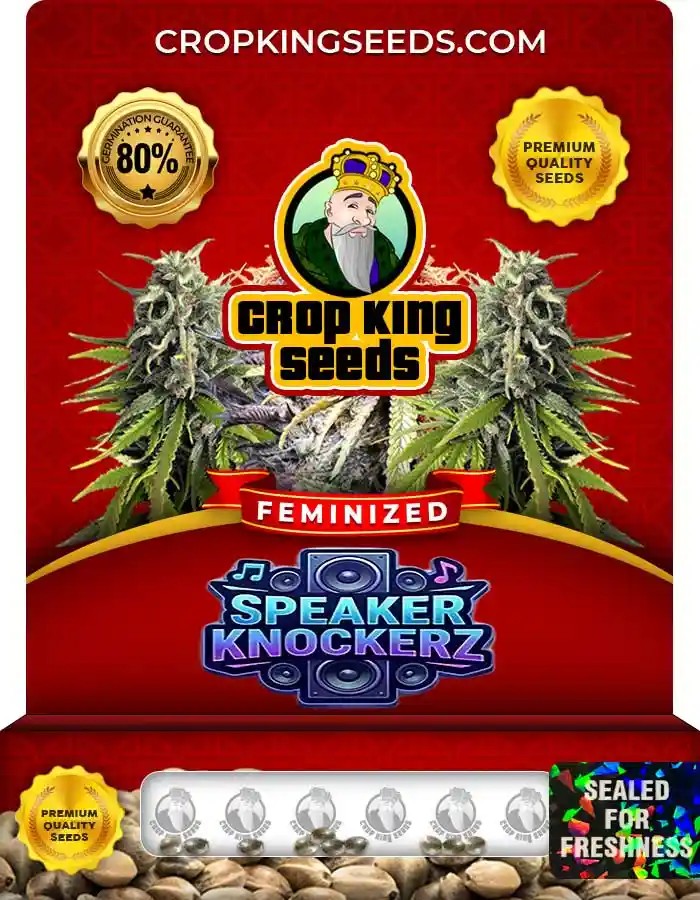 Speaker Knockerz Feminized Seeds