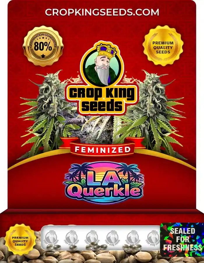 LA Querkle Feminized Seeds