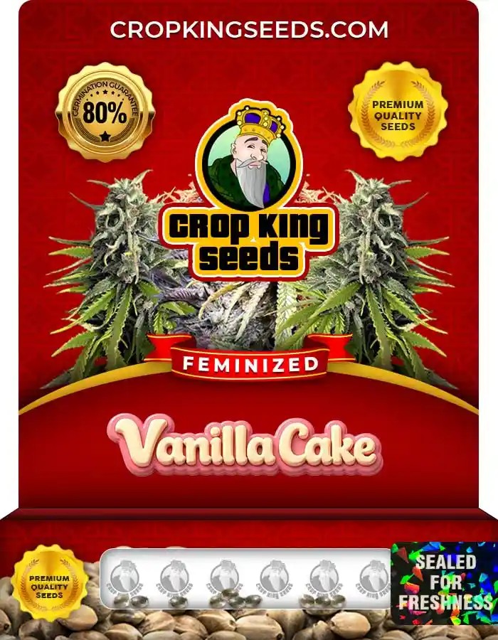 Vanilla Cake Strain Feminized Marijuana Seeds