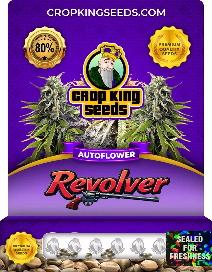Revolver Autoflower Marijuana Seeds