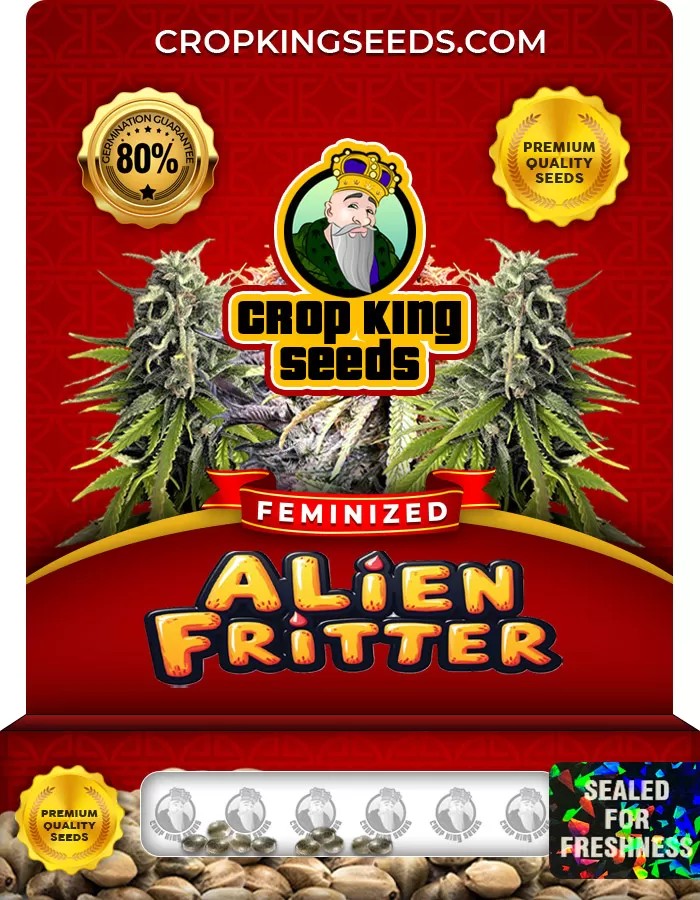 Alien Fritter Feminized Marijuana Seeds