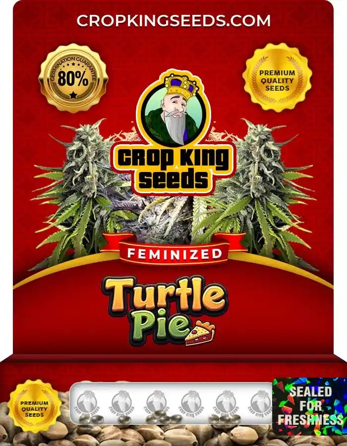 Turtle Pie Strain Feminized Marijuana Seeds