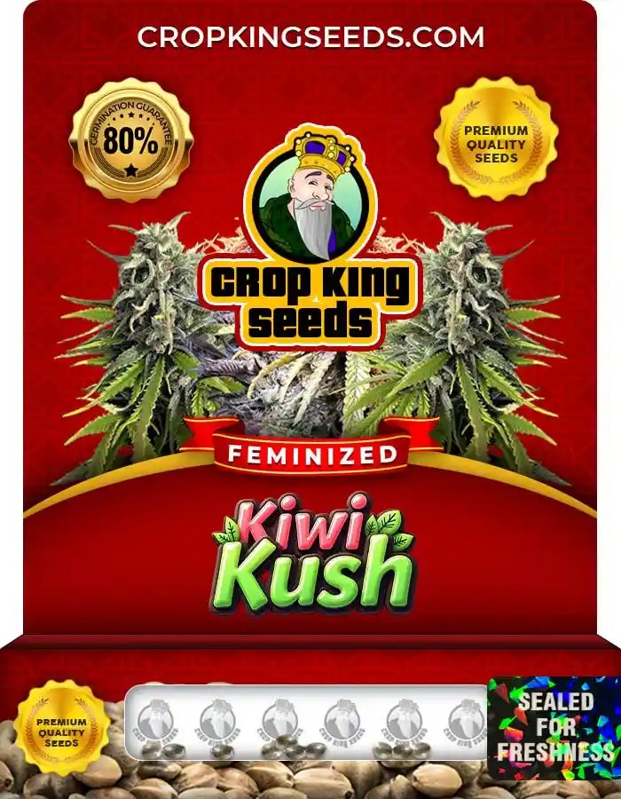 Kiwi Kush Feminized Seeds