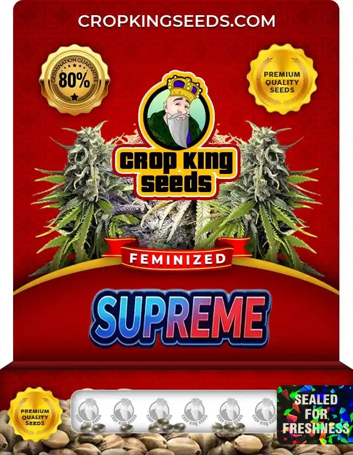 Supreme Strain Feminized Marijuana Seeds