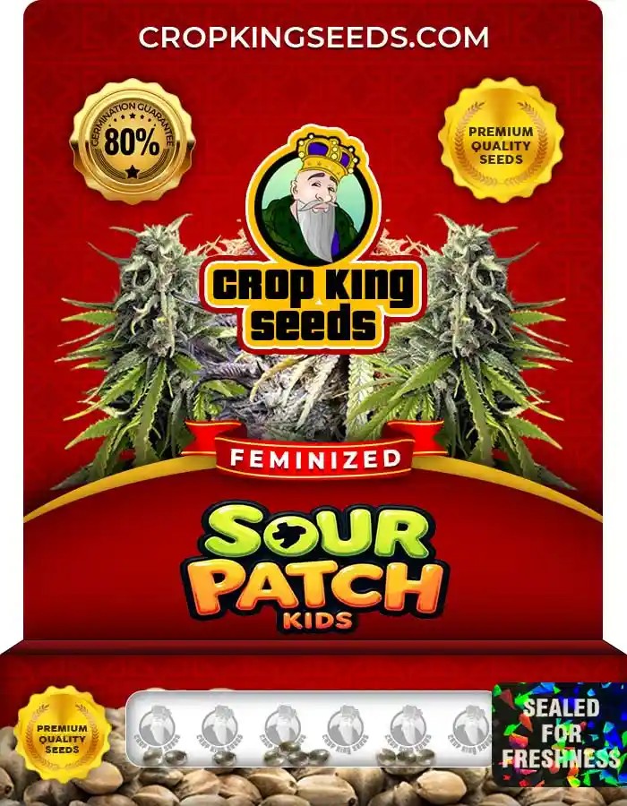 Sour Patch Kids Strain Feminized Marijuana Seeds
