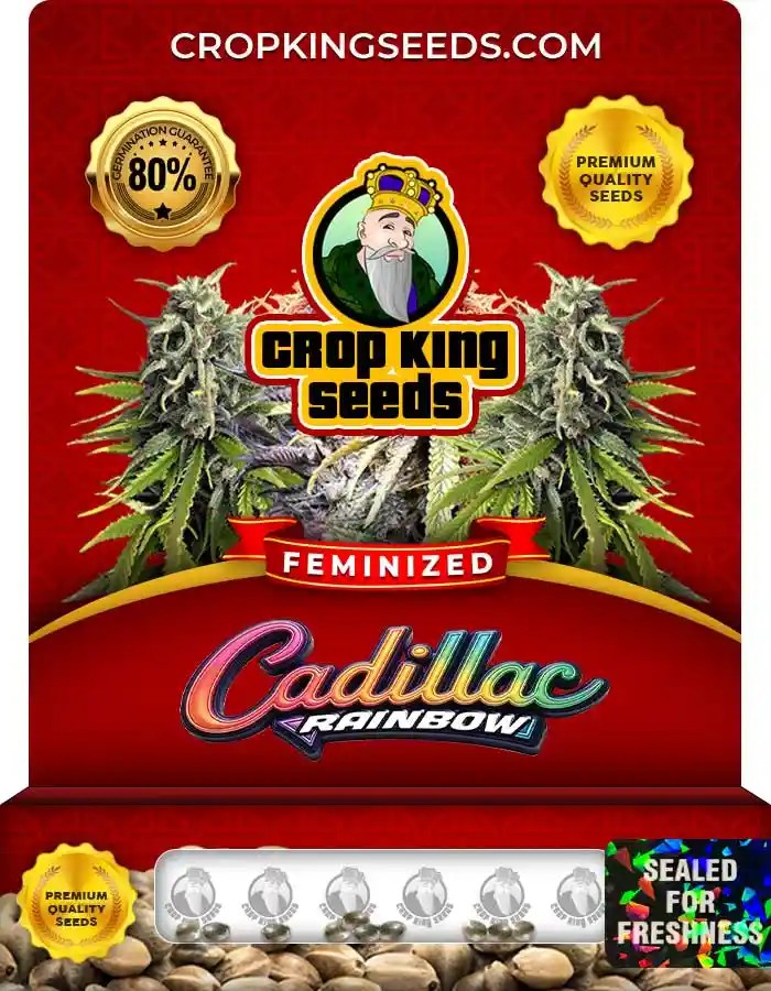 Cadillac Rainbow Strain Feminized Marijuana Seeds