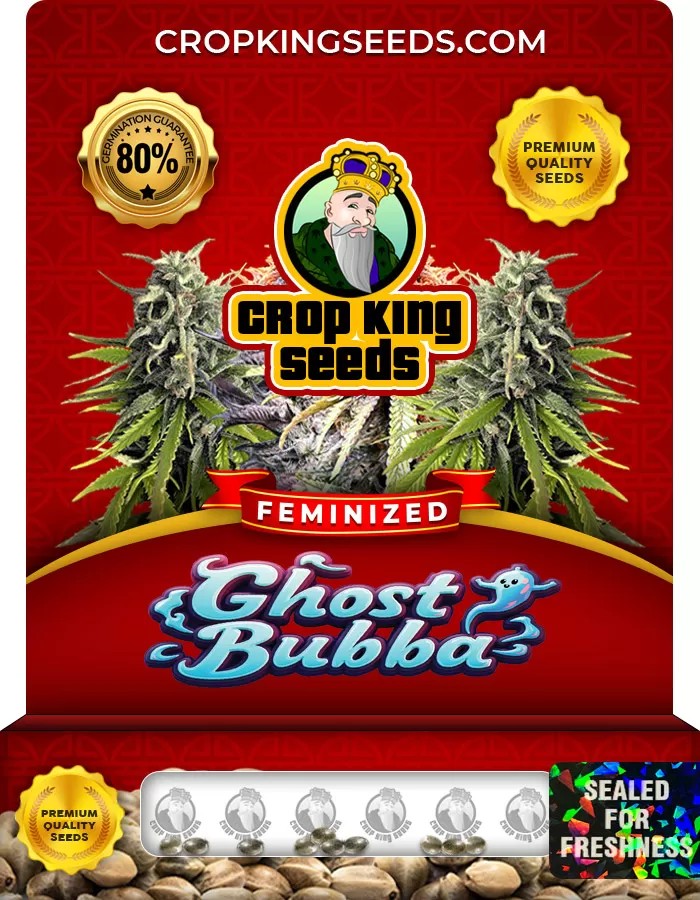 Ghost Bubba Feminized Marijuana Seeds