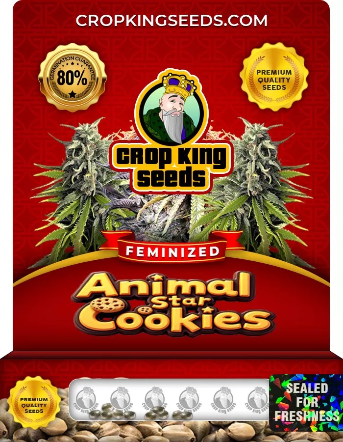 Animal Star Cookies Feminized Marijuana Seeds