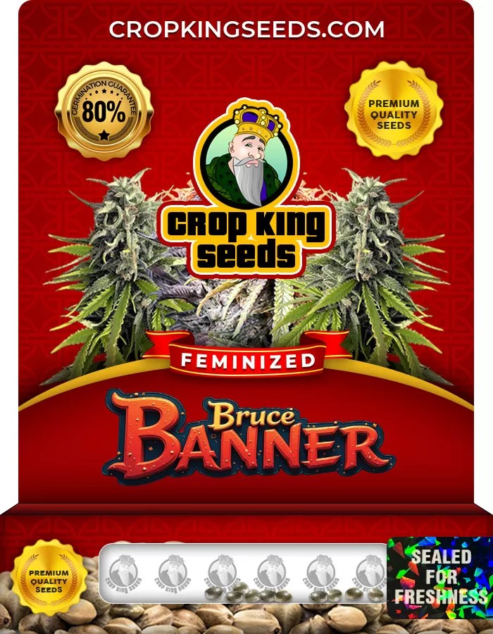 Bruce Banner Strain Feminized Marijuana Seeds