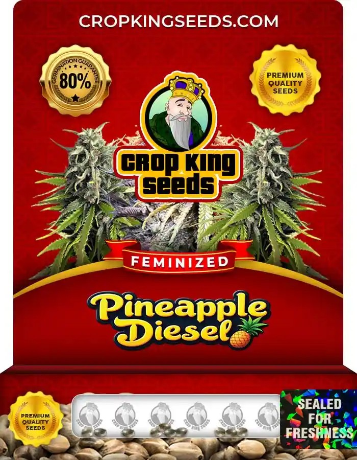 Pineapple Diesel Feminized Seeds