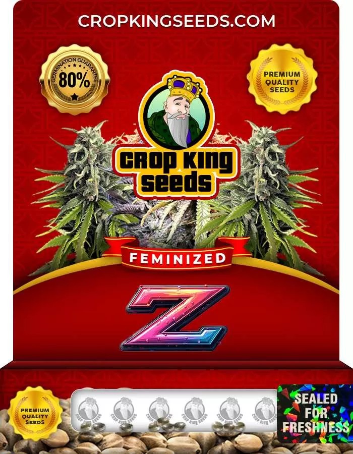 Z Strain Feminized Marijuana Seeds