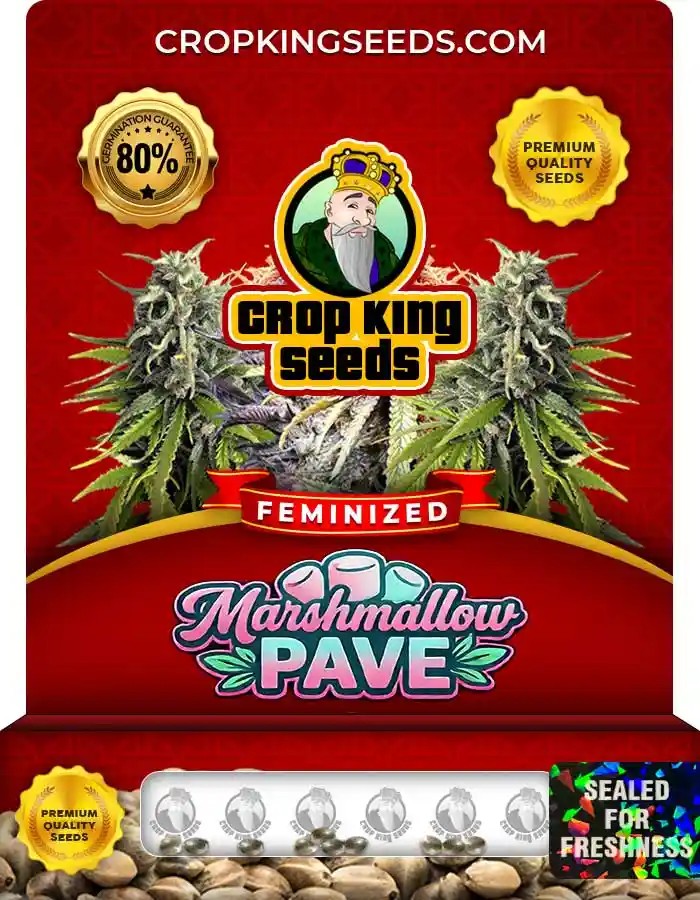 Marshmallow Pave Strain Feminized Seeds