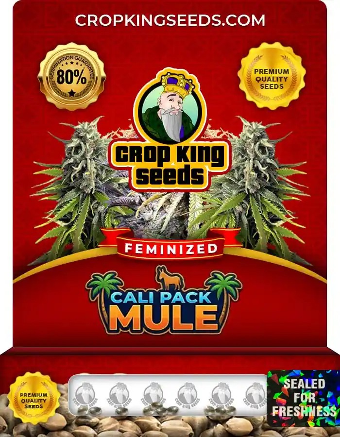Cali Pack Mule Strain Feminized Seeds