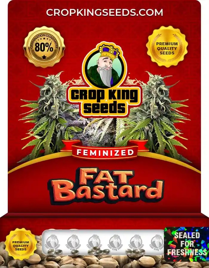 Fat Bastard Strain Feminized Marijuana Seeds