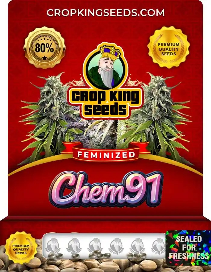 Chem 91 Strain Feminized Marijuana Seeds