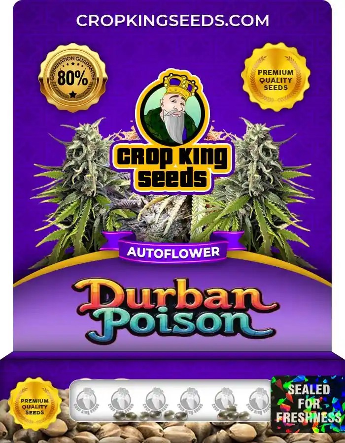Durban Poison Autoflower Seeds