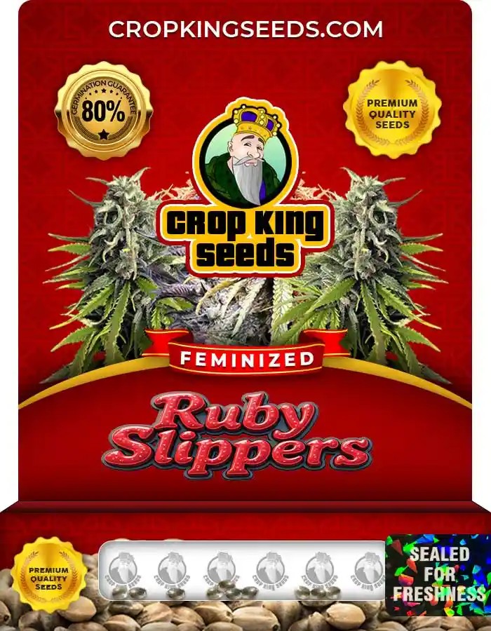 Ruby Slippers Feminized Seeds