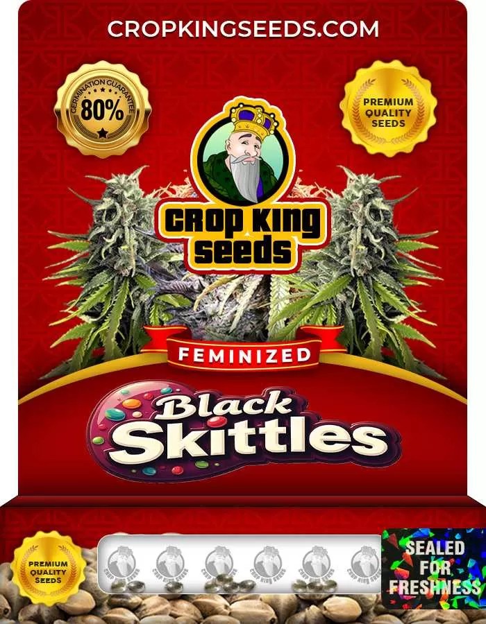 Black Skittles Feminized Seeds