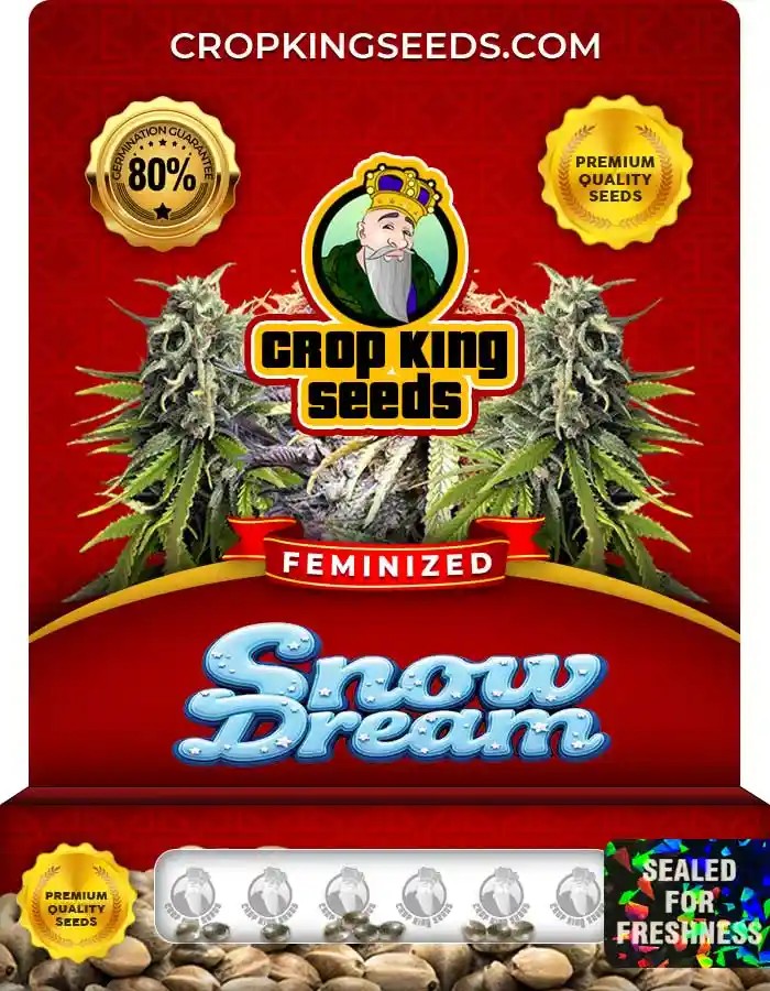 Snow Dream Feminized Seeds