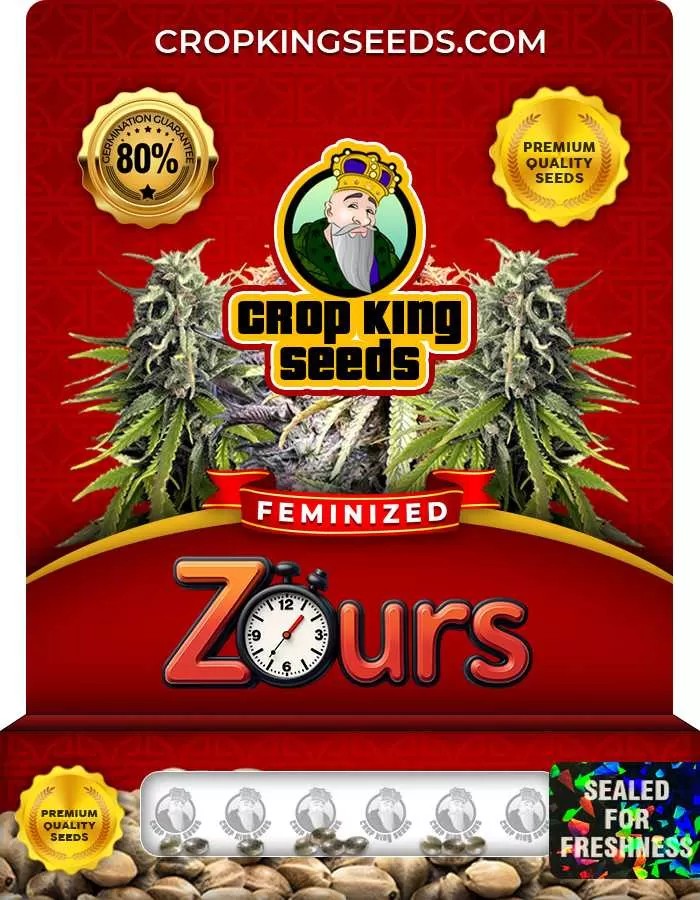 Zours Strain Feminized Marijuana Seeds