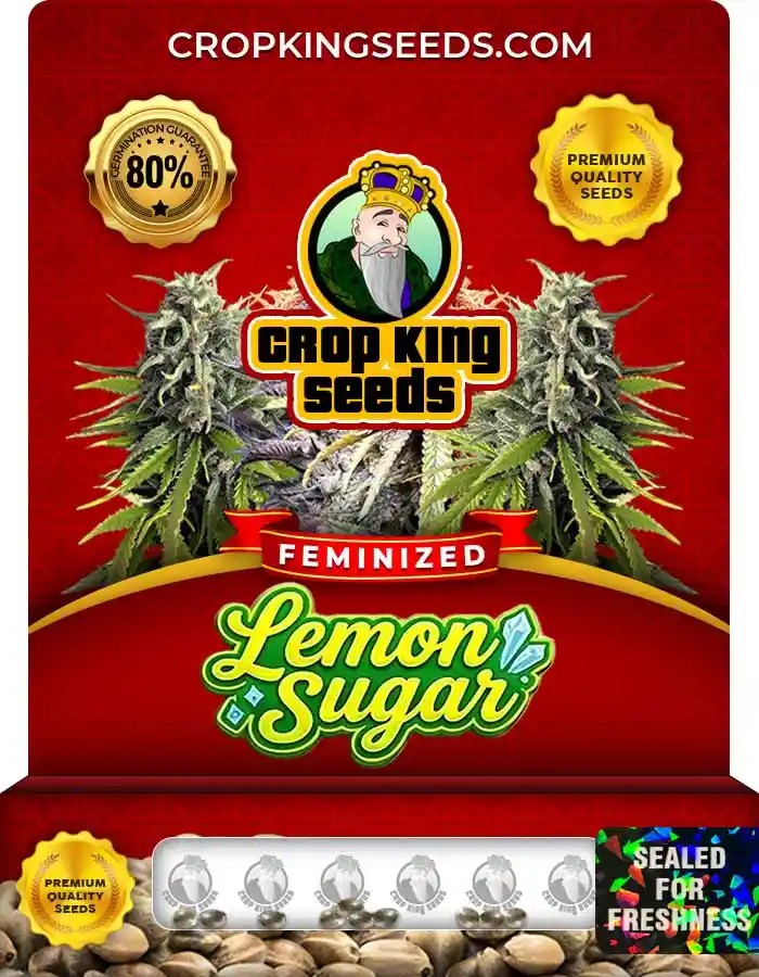 Lemon Sugar Strain Feminized Seeds