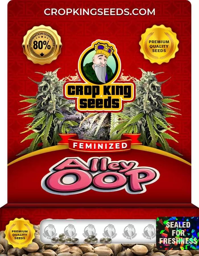 Alley Oop Feminized Seeds
